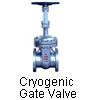 Cryogenic Gate Valve