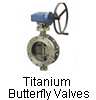 Titanium Butterfly Valves